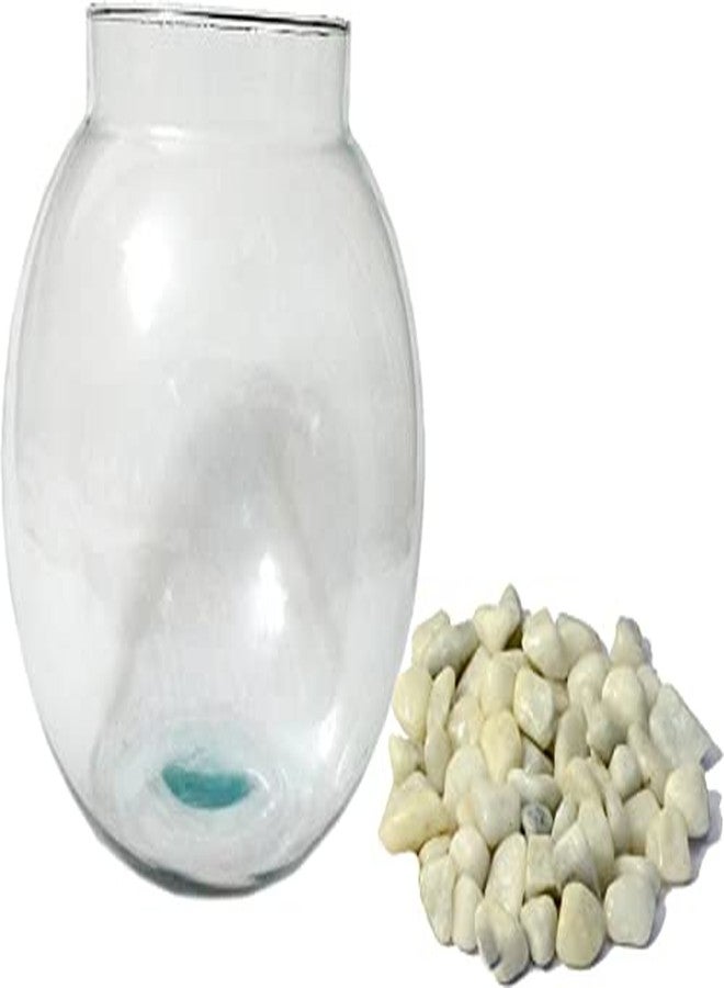 Afast Home Indoor Room Decorative Clear Glass Fish Bowl Pot-B10, 18 X 18 Cm, 3 LTR - Image 2